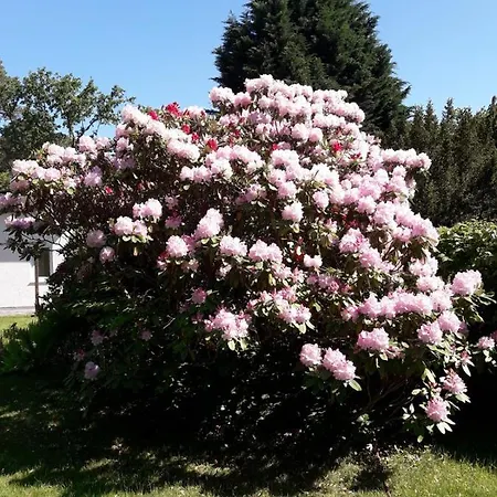 Am Langen Iii 別荘 Heidesee