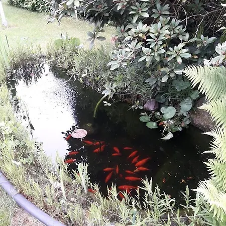 Am Langen Iii 別荘 *