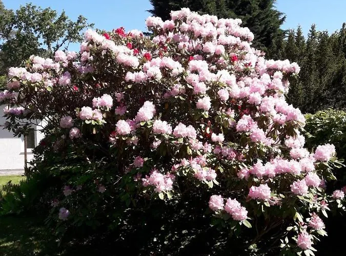 Am Langen Iii Prázdninový dům Heidesee